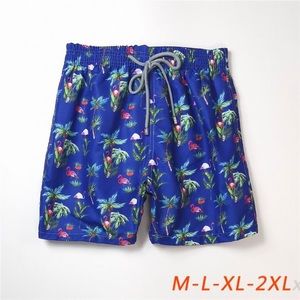 Vilebrequin Men's Swim Shorts (33)